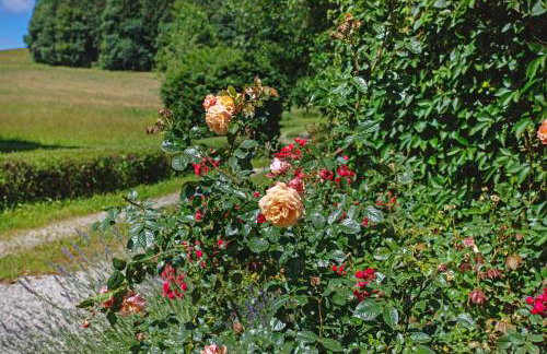 Gutshof an der Alten Linde - Photo 23