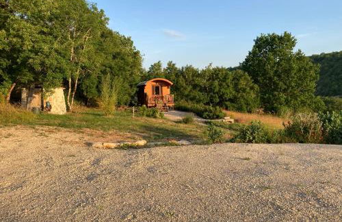 Gîte N°2 : YLMADI - Photo 3