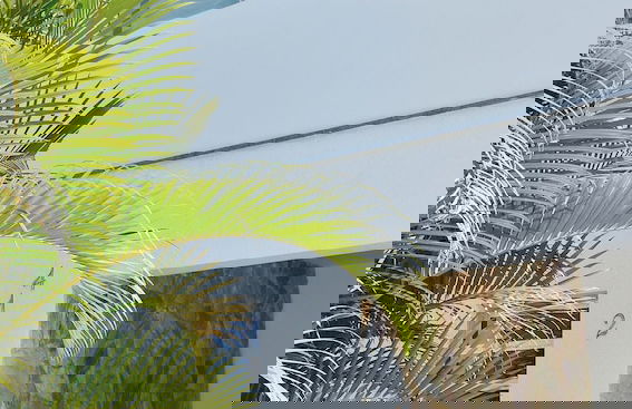 Recanto Revoar Campeche - Florianopolis - Photo 42