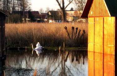 Müritzblick am Wünnow - Foto 58