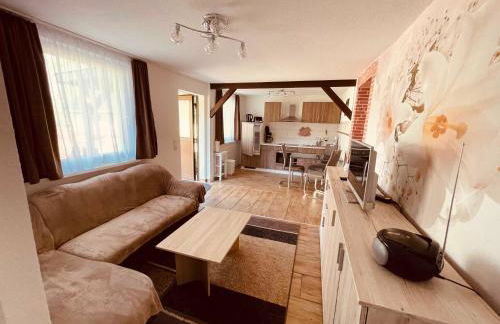 FEWO Am Haussee Feldberger Seenlandschaft - Foto 24