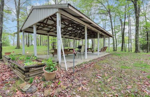 The Silver Birch - Foto 2