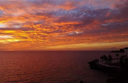 Sunset Ocean View - Photo 78