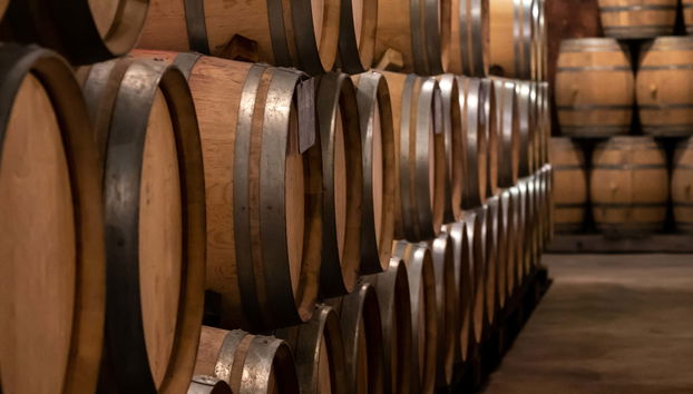 Wine Tasting at The Wine School - Foto 5