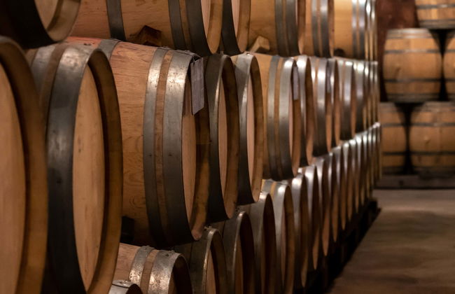 Cata de vinos en The Wine School - Foto 5