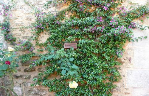 MONELLS - CASA Rural - CAN FELIP - Foto 35