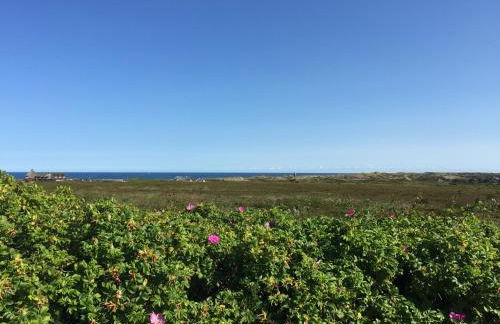 James Home - Foto 13