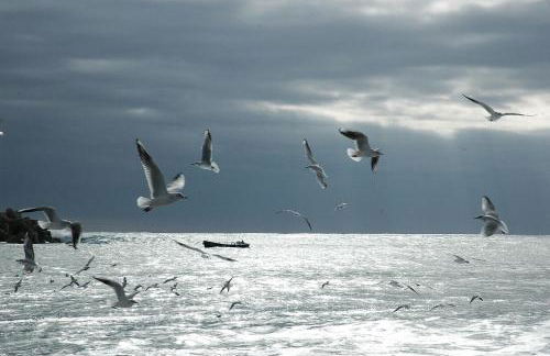 Casa Vacanze Stelle Marine - Foto 25