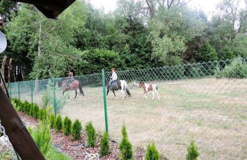 Holiday Home in Kolczewo near Baltic Beaches - Foto 39