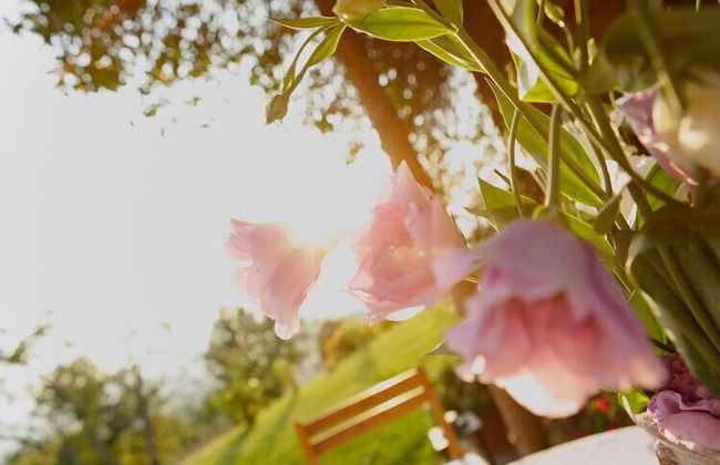 Agriturismo Podere Picciolo - Foto 41