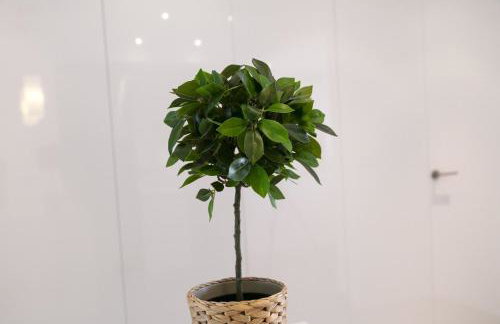 AG DUPLEX Premium - Foto 73