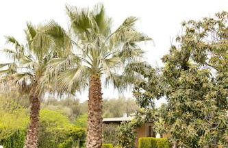 Elpida's country house - Foto 21