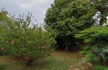 casa vacanze Agugliastra - Foto 23