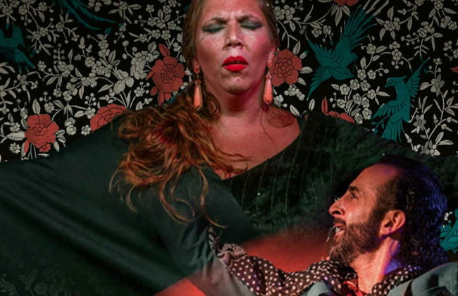 Espetáculo de flamenco no Alegría - Foto 1