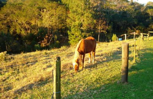 Hotel Fazenda Bandeirantes - Foto 19