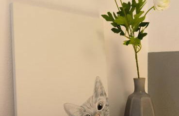 Casa del Borgo "Terra & Fuoco" sul Lago Maggiore - Foto 18