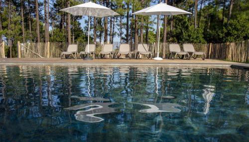 Domaine de Pianiccia - Foto 3