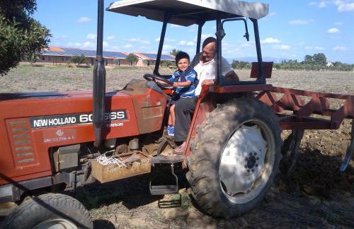 Agriresort Terradome - Foto 30