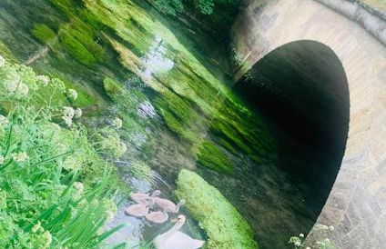 Beautiful 18th century cottage in Arundel - Foto 33