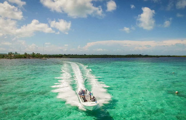 Xcalak Snorkeling Tour - Foto 4