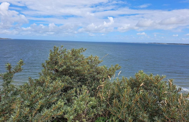 8 Person Holiday Home in Struer - Photo 33