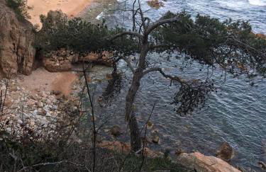 Apartamento recien reformado a 300 metros del mar - Foto 39