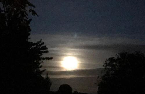 Cotswolds Retreat - Foto 74