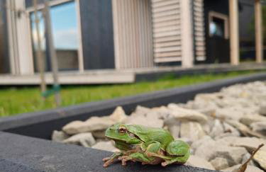 Przylesie Domki - Foto 7