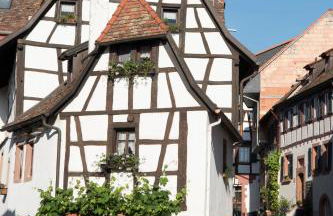 Burggarten Appartements Neuleiningen - Foto 58