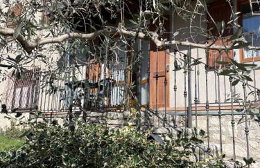 Casa Teodoro - Gelsomino, Ulivi & Orchidea - Foto 55