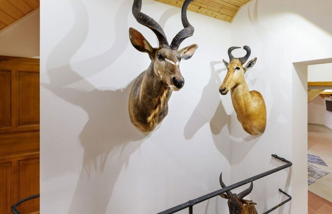 Orlik Jvnl102 Comfortable Holiday Residence - Foto 9