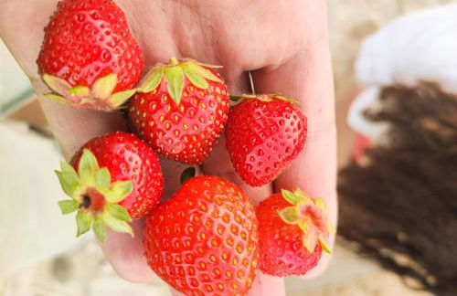 Quinta dos Padrinhos - Suites in the Heart of the Douro - Foto 50