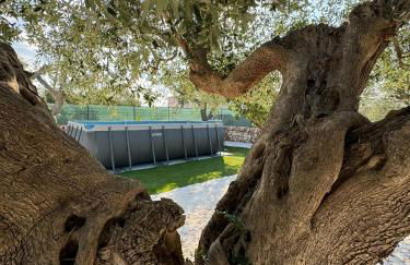 Trullo Gnoffa - Foto 58