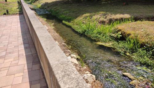 Apartmani Kula - Foto 3, Garden, Garden view