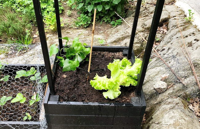 5 Person Holiday Home in Djurhamn-by Traum - Foto 35