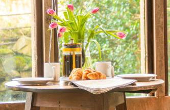 Cabbage Patch - Foto 1