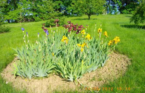 Gite de La Cheneraie - Foto 15