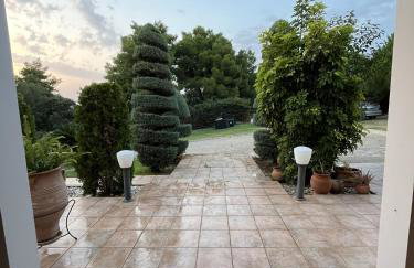 Golden View Apartment 1 - Foto 1