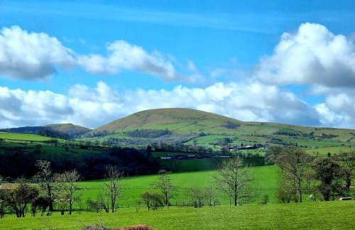 Horse & Farrier Pub - Photo 13