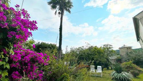 AT El Manzano - Jardín & BBQ - Los Gayoles Rural - Foto 5