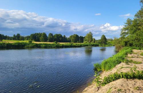 Domek nad Wkrą, okolice Sochocina, kajaki - Foto 33