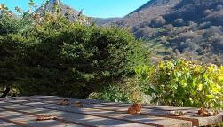 Maison au pied du puy mary - Foto 2