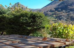 Maison au pied du puy mary - Photo 2