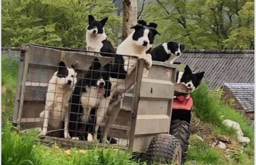 The Bothy, Callander - Foto 26