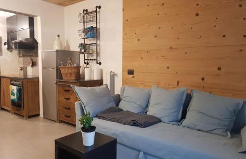 Milla Appartamento 4-6 letti - Pontagna -1km Ponte di Legno T04416 - Foto 1