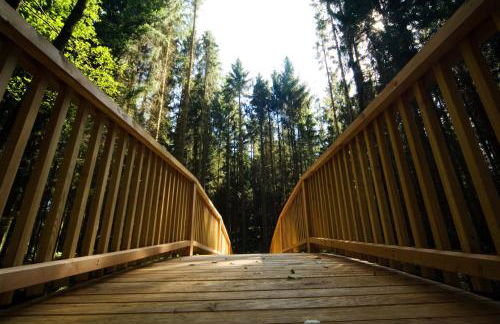 Forstgut - Premium Waldchalets und Lodge Suiten - Photo 67