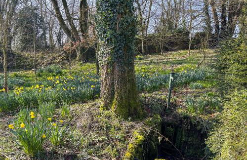 Raine Cottage - Foto 18