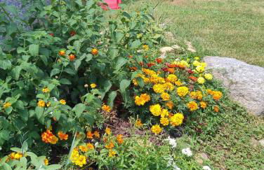 Casa Patron - Grande casa immersa nella natura della Valchiusella, vista montagna, perfetta per famiglie e gruppi a 1 ora da Torino - Foto 69