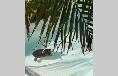 VILLA ON TOP MONTE SÃO FELIX - Foto 67