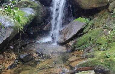 Ap 50m do Mar, no Coração da Praia de Fora - Photo 41